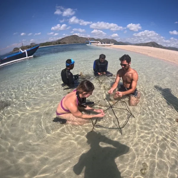 Adrenaline Tour: Gilis Coral Reef Restoration