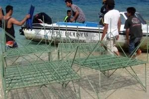 Content Management for Scuba Diving Website (6) Content Management for Scuba Diving Website (6)