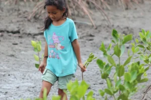 Mangrove Planting in West Lombok (7) Mangrove Planting in West Lombok (7)