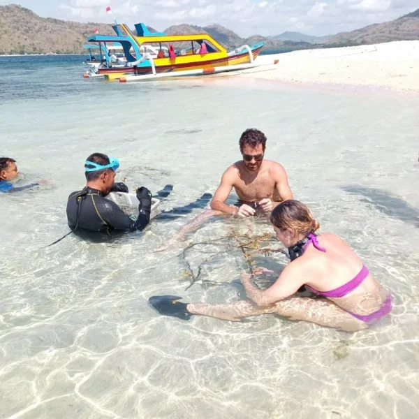 Backpacking in Lombok: Travel Buddy with an Indonesian