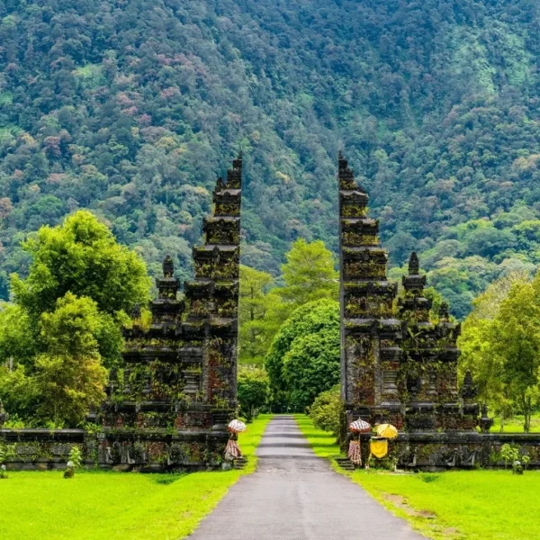 14 Days Bali: Travel Buddy with an Indonesian